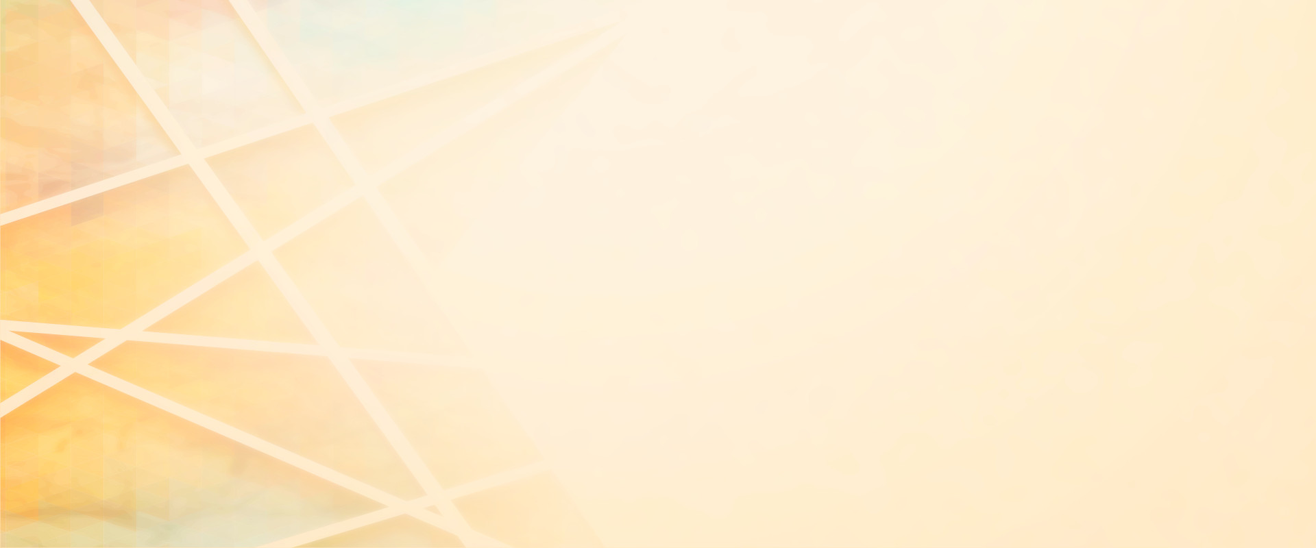 banner3